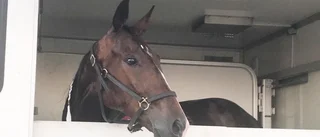 Lexington Tooma tvåa i sin comeback