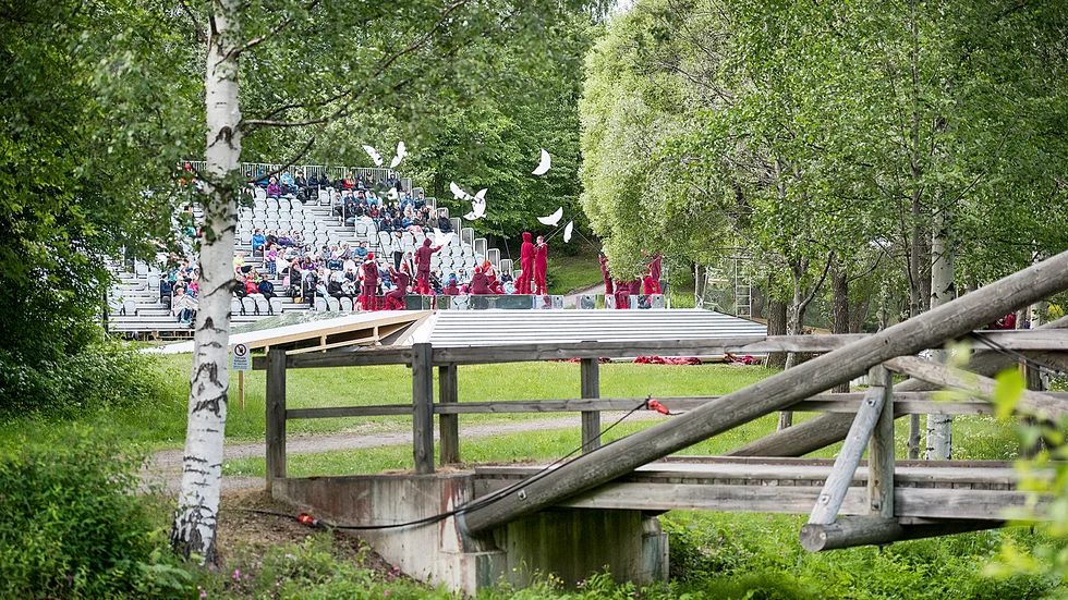 Parken ligger bakom Medlefors folkhögskola.