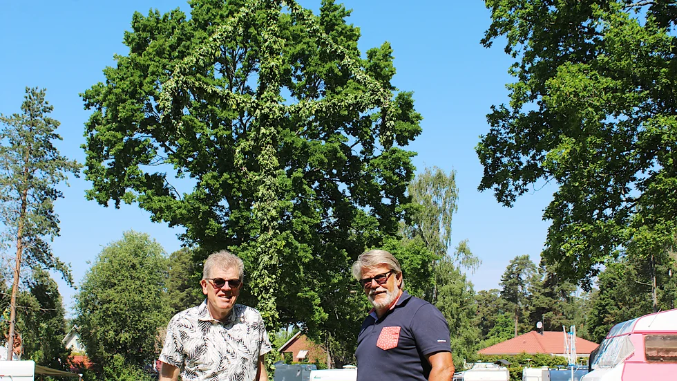 Lennart Johansson, pastor, och Olle Sjögren, ansvarig för kafé och camping på Furulid visar midsommarstången som finns på plats. Dansa kan campinggästerna göra, men själva arrangemanget är inställt.