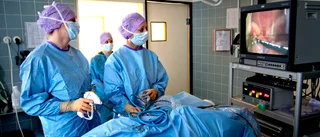 Använd veterinärernas kunskaper