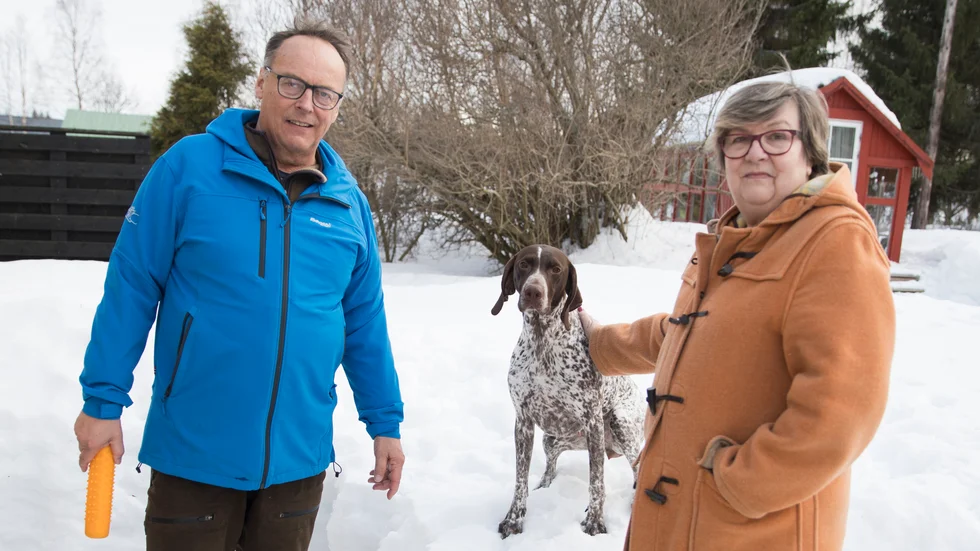Om allt vill sig väl kommer Gunnar Johansson och hustrun Marianne Holmfrid att ha valpar i huset. I mars har fyraåriga vorstehtiken Gin parats.