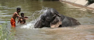 Redan 50 grader i Indien