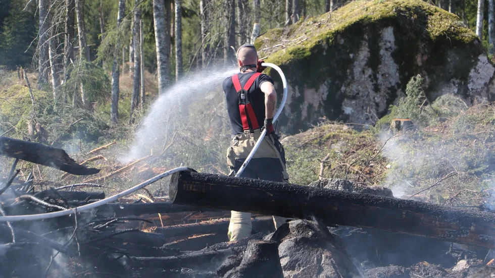 LRF skogsägarna och Sveaskog menar att det finns en större beredskap inför skogsbränder. 