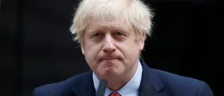 Boris Johnson har fått en son