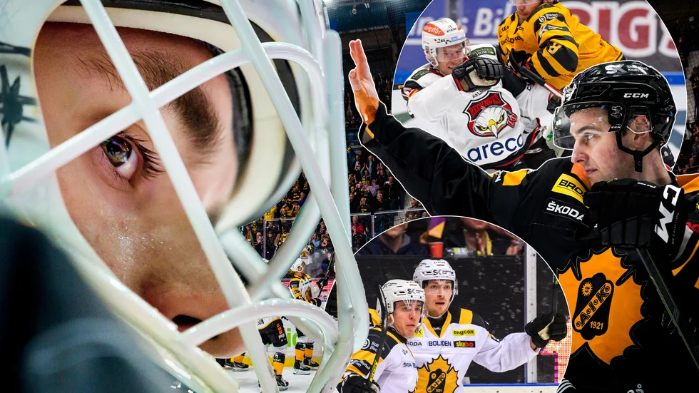 Vem var bäst, vem behöver bevisa mer och vilka har underpresterat? Norransporten har betygsatt årets Skellefteå AIK-trupp. 