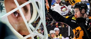 Alla AIK-betyg från säsongen – en spelare får full pott