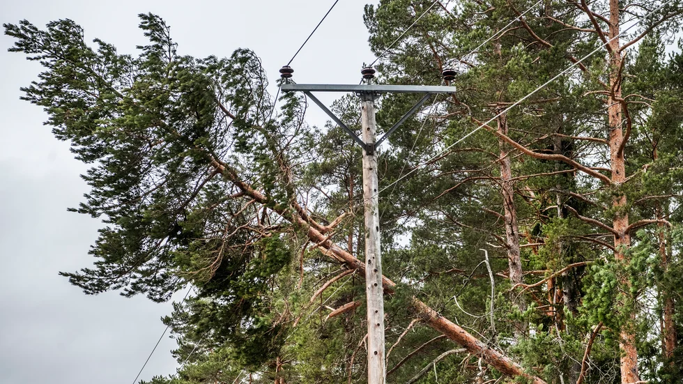 Nedfallna träd har orsakat omfattande strömavbrott runt Katrineholm. Bilden är tagen vid ett annat tillfälle.