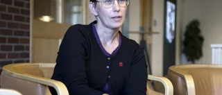 Satsar på 13 nya tomter i Jävre