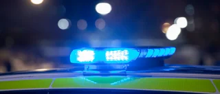 Tre unga killar ryckte handväskan från kvinna – hittade väskan slängd och länsad på pengar
