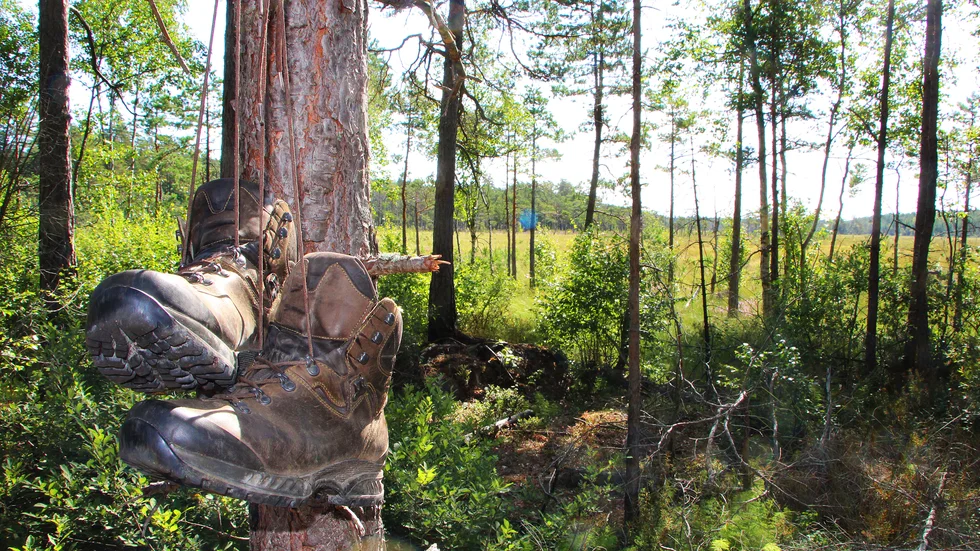 "These boots are made for walking." 