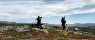 Dödlig hundsjukdom i Norge oroar jägarna i Norrbotten