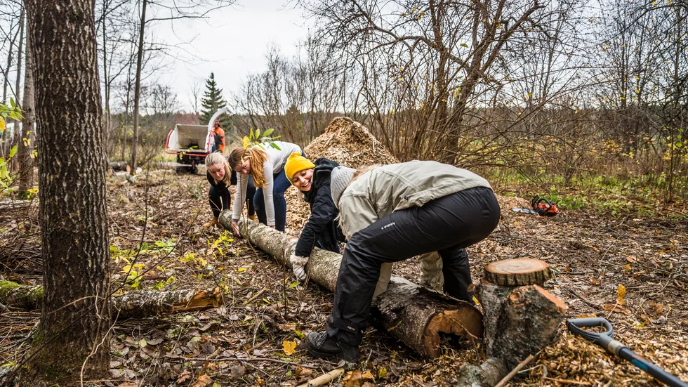 Lisa Blomkvist, Julia Åstrand, Emma Johannesson och Sara Wallander lyfter en trädstam. 