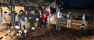 Här möts halloweenfirare av fågelskrämmor