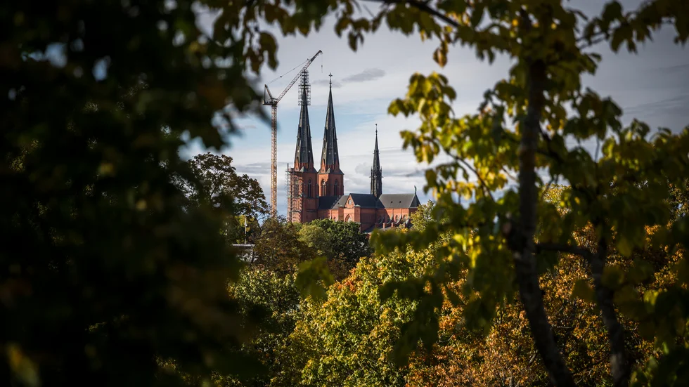 Med fem dagar hösttemperatur i delar av länet börjar sommaren lida mot sitt slut.