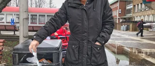 En av fyra papperskorgar försvinner