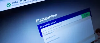 Arbetsförmedlingen som politisk murbräcka