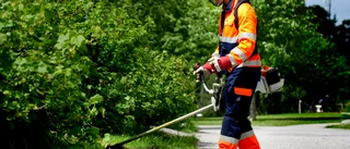 Skolelever erbjuds feriejobb av kommunen