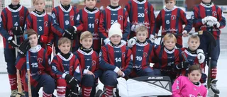 Nya bandycupen blev en fullträff