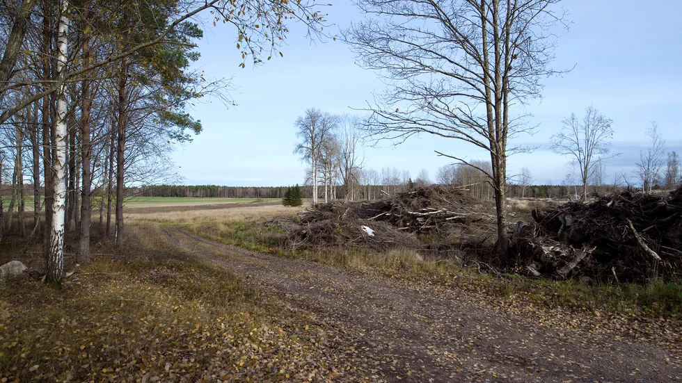 Här ska den nya ridanläggningen ligga. Investeringsbeslutet fattades i kommunstyrelsen på måndagen.