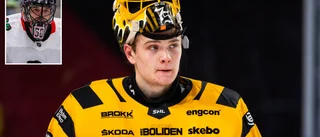 Förre AIK-målvakten jämförs med NHL-ikonen