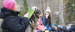 Skolhundarna Qingen och Tage skapar glada lektioner för eleverna
