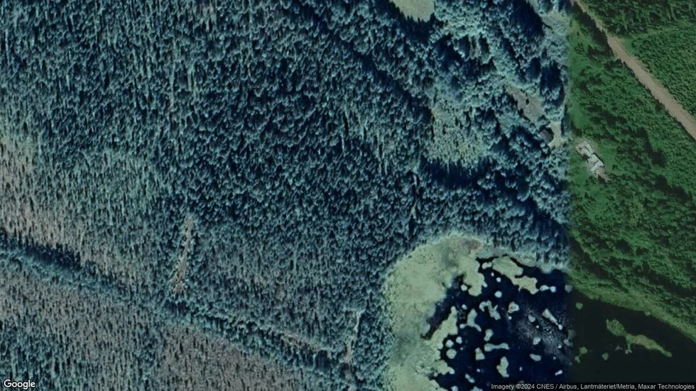Området kring Holktjärn 12