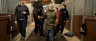 Här är stallet – där både hästar och människor mår bra