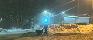 Polisinsats i bostadsområde efter larm om höga smällar