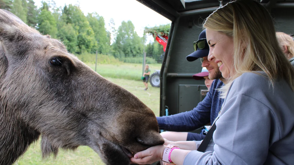 Besökaren Judith Langer från Bielefeld i Tyskland matar en älg i parken.