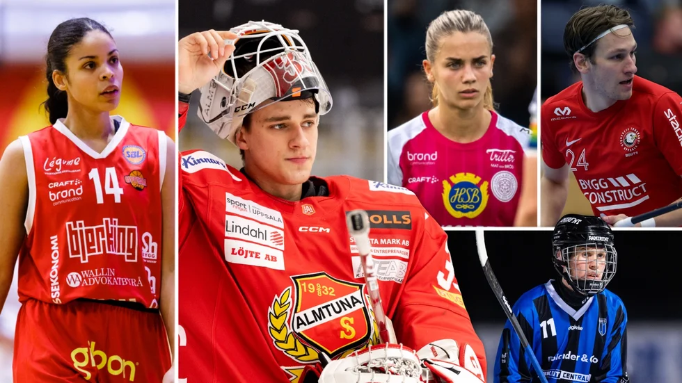 Hösten kommer bjuda på en hel del sport.