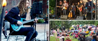 Så blir sommarens sista Picnic i parken: "Ser ut att bli soligt"
