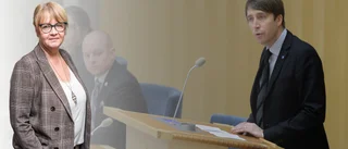 "Ingen kan vara okunnig om vad SD tycker och tänker"