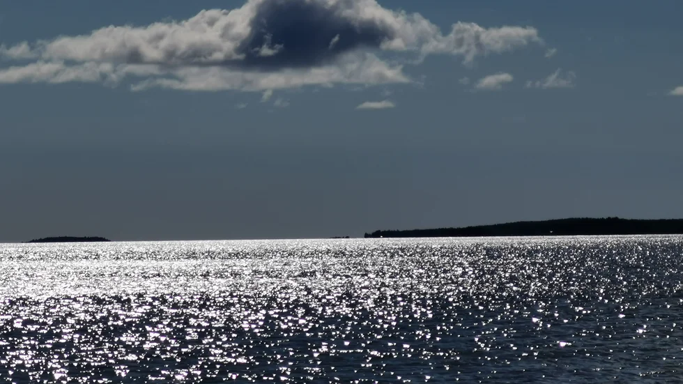 Dagens läsarbild.