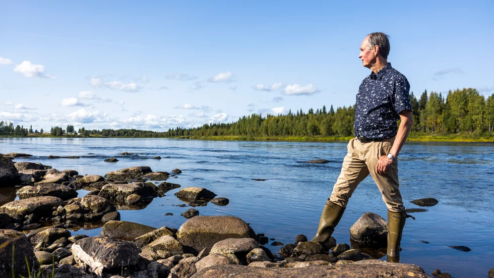 Mikael Niemi blickar ut över Torneälven vid sommarstället i Autio. 