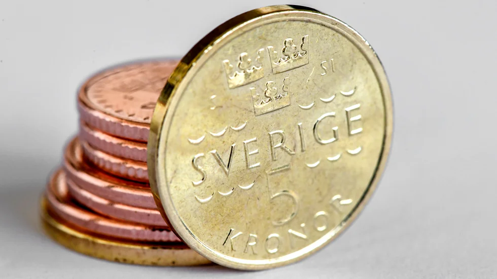 Vad säger EU:s regler, frågar sig insändarskribenten.