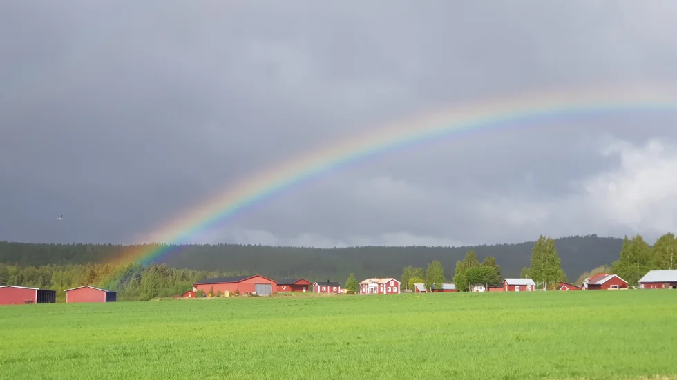 Vårt samhälle byggs i lokala sammanhang som ger utrymme och näring till vårt rotsystem. Där regnbågen möter marken med perspektivtäthet bidrar alla färger till en medskapande skatt., skriver debattören.
