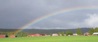 Ekohumanism – en väg till en grön omställning 