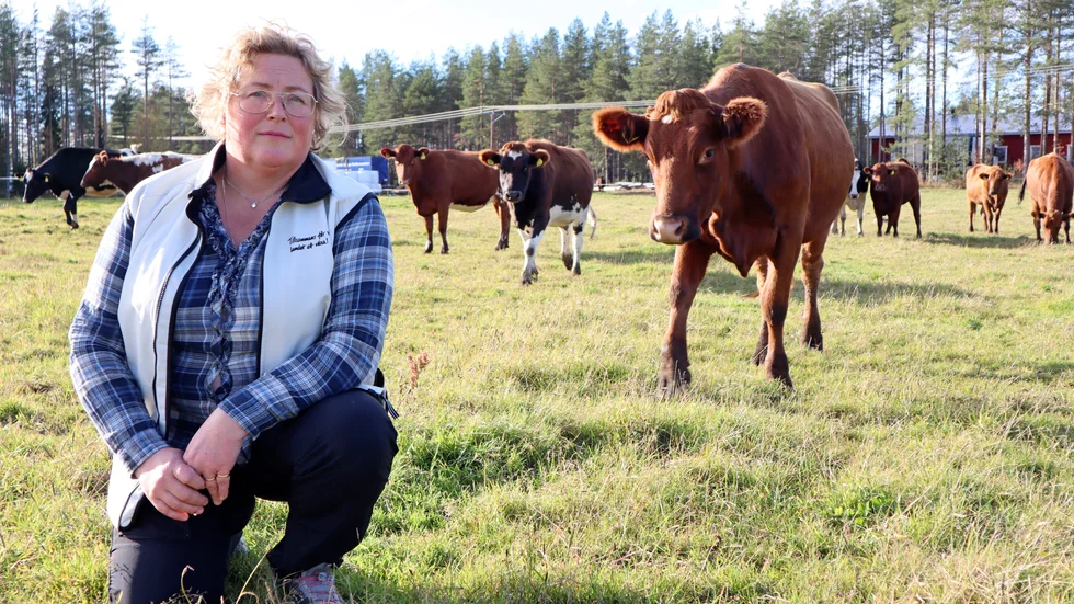 Jenny Karlsson, LRF Norrbotten uppmanar till att handla svenskt och lokalproducerat när beredskapen ska ökas.