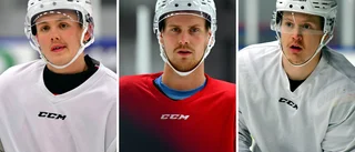 Mångåriga tabut bröts – Gimotrio lyfter Tierp Hockey 