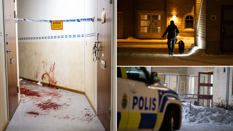 Flera polispatruller ryckte under måndagskvällen ut till ett misstänkt mordförsök i centrala Piteå.