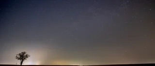 Kanske ville haren se sin egen stjärnbild?