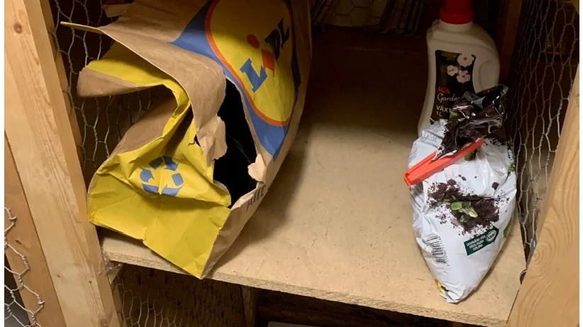I en papperspåse i källarförrådet påträffades närmare 800 gram amfetamin.