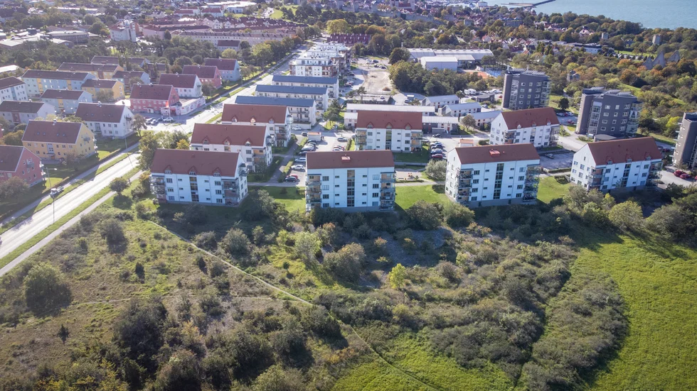 Inflyttningen av barnfamiljer till norra Visby blev inte så stor som man hoppats. Det visar ny befolkningsstatistik som ligger till grund för den nya översynen av skolorna i norra Visby.