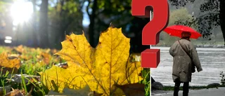 Nu har hösten kommit till Sörmland! Eller...?