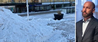 Beskedet: "Skulle den gå i mål blir det en viktig aktör"