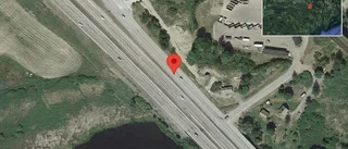 Varning för älg på vägen på väg 223