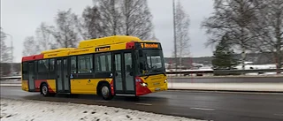 Mamma kritisk: Inga bälten i bussen som går på E22