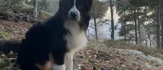 Billy har varit borta i två månader