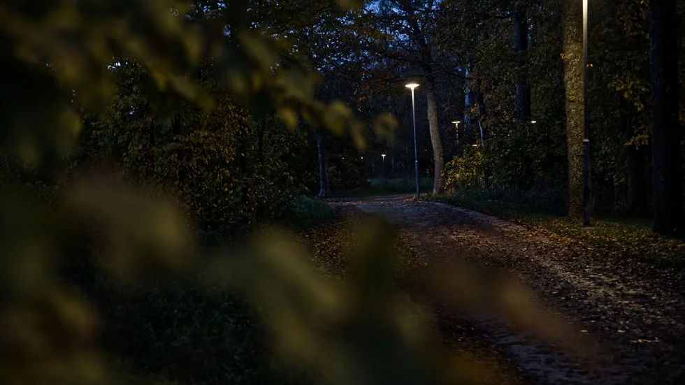 En studie av BRÅ (Brottsförebyggande rådet) visar att bra belysta områden har en brottsförebyggande effekt.