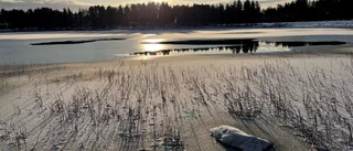 Dagens läsarbild: Underbart väder vid Nyborgstjärn